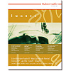 Альбом-склейка для пастели Hahnemuhle "Ingres" 30х40 см 100 г 20 л 9 цветов