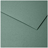 Бумага для пастели Clairefontaine "Ingres" 50x65 см, 130 г зеленая вода 