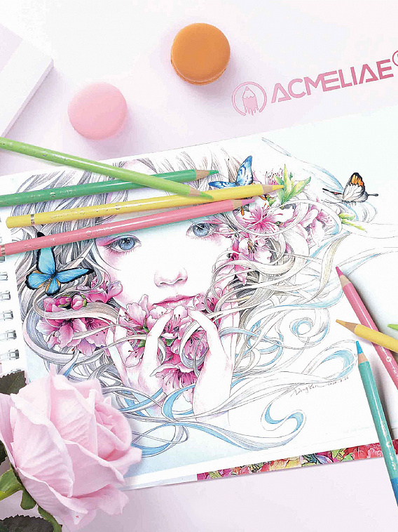 Набор цветных карандашей Acmeliae "Pastel Artmate" 24 цв, в картонном футляре