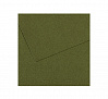 Бумага для пастели Canson "MI-TEINTES" 75x110 см 160 г №448 плющ