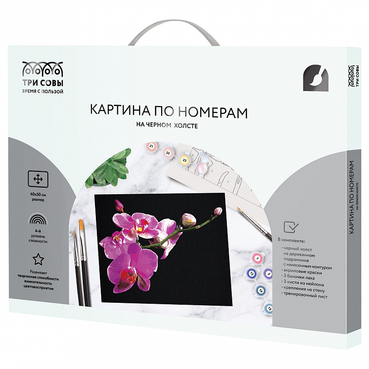 Картина по номерам на черном холсте ТРИ СОВЫ "Цветы орхидеи", 40*50 см, c акриловыми красками и кист