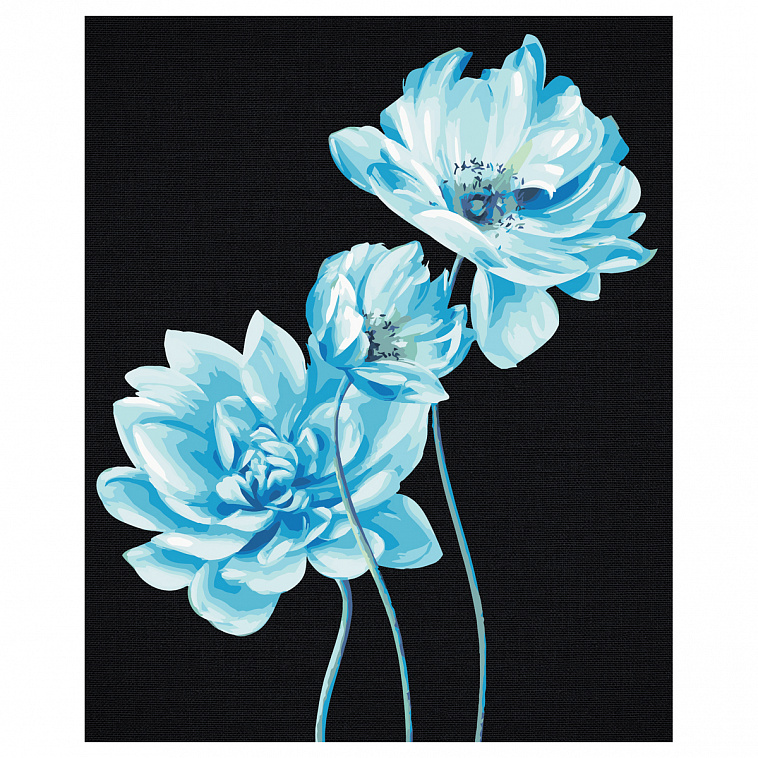 Картина по номерам на черном холсте ТРИ СОВЫ "Голубые цветы", 40*50 см, c акриловыми красками и кист