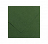 Бумага тонированная Canson "Iris Vivaldi" 50х65 см 120 г №31 темно-зеленый  