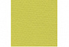 Бумага для пастели Lana "COLOURS" 50x65 см 160 г фисташковый 
