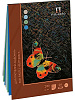 Планшет для пастели Лилия Холдинг "Бабочка" А5 20 л 200 г, 4 цвета