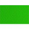 Бумага для пастели Fabriano "Тiziano" 21x29,7 см 160 г №37 ярко-зеленый