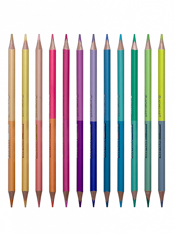 Набор пастельных двусторонних карандашей Acmeliae "Pastel Artmate" 12 шт/24 цв, в картоне