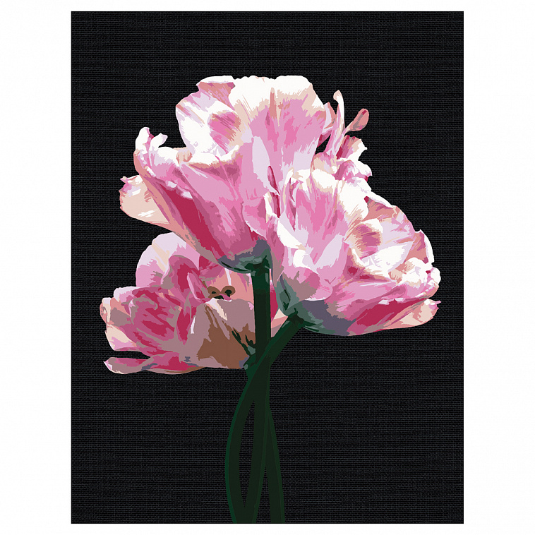 Картина по номерам на черном холсте ТРИ СОВЫ "Розовые цветы", 30*40 см, c акриловыми красками и кист