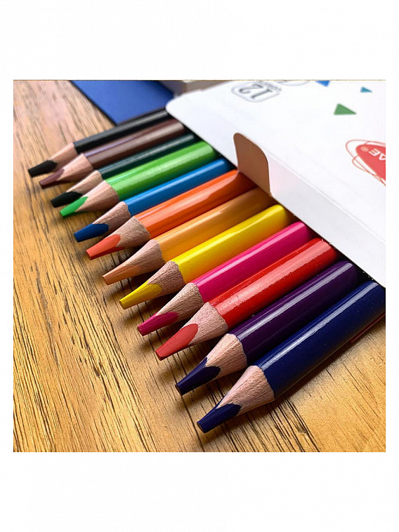 Набор карандашей цветных утолщенных трехгранных Acmeliae 12 цв. в картонном футляре